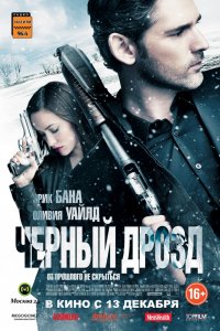 Черный дрозд (2012)